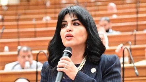 النائبة هند رشاد، أمين سر لجنة الإعلام بمجلس النواب