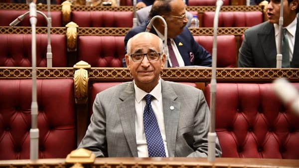 النائب حسانين توفيق عضو مجلس الشيوخ 