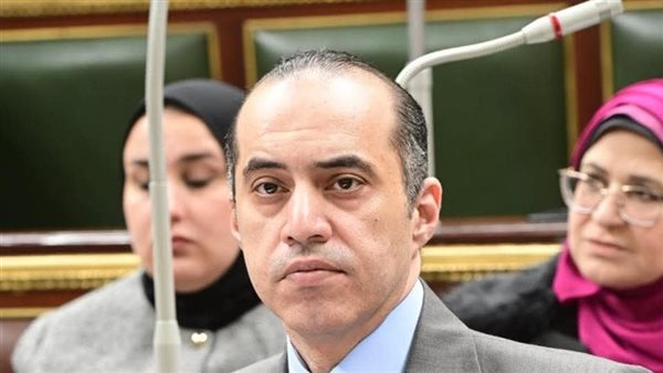 المستشار محمود فوزي، وزير الشؤون النيابية والقانونية 