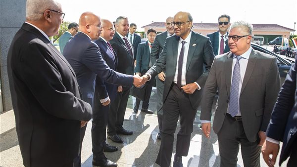 وليد جمال الدين: زيارة الرئيس السنغافوري فرصة لبحث التعاون ف