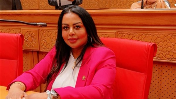 النائبة نيفين حمدي، عضو مجلس النواب 