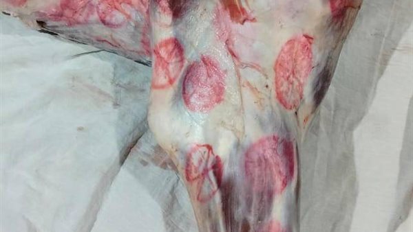 ضبط لحوم مذبوحة خارج المجاز