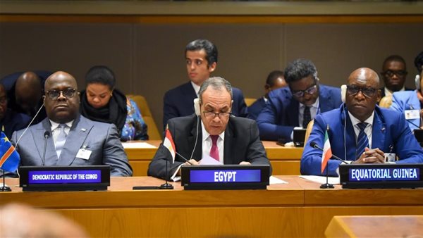 وزير الخارجية المصري