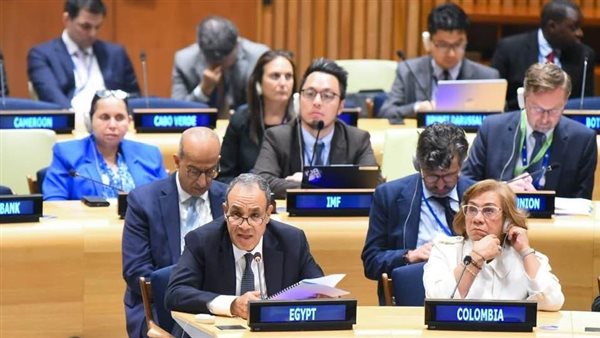 وزير الخارجية خلال كلمته بلجنة بناء السلام بالأمم المتحدة