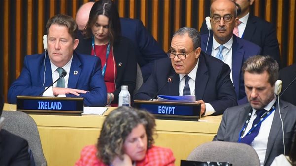 عبدالعاطي في الاجتماع الثاني دول مجموعة العشرين