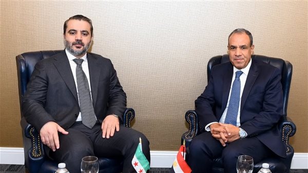 د بدر عبد العاطى يلتقي نظيره السوري 