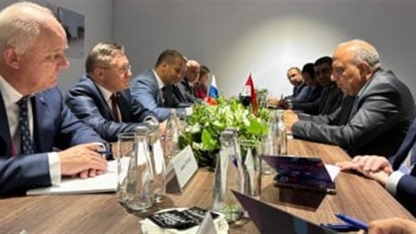 وزير الكهرباء والطاقة المتجددة
