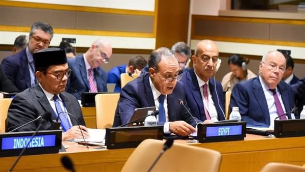 وزير الخارجية يشارك في اجتماع وزراء دول البريكس