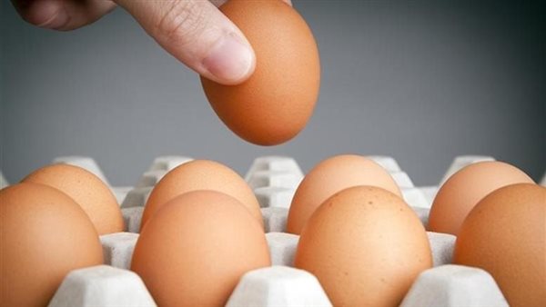 لماذا ارتفع سعر طبق البيض 2025؟