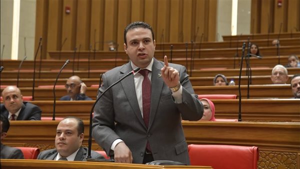 النائب عبد المنعم إمام، عضو مجلس النواب