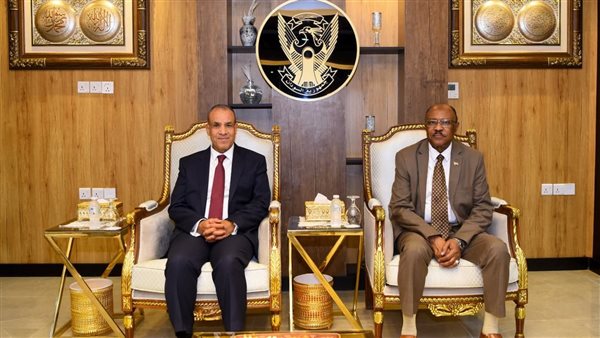 وزير الخارجية يلتقي ونظيره السوداني للتأكيد على الرفض التام 