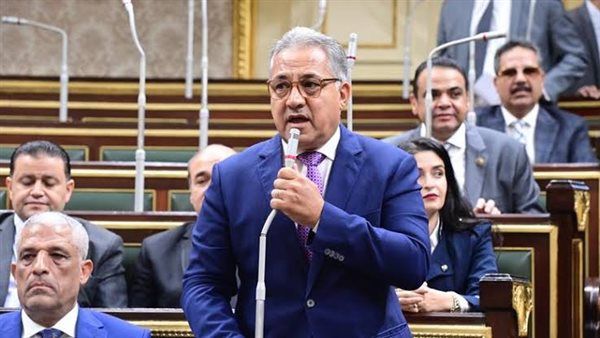النائب أحمد السجيني، رئيس محلية النواب 