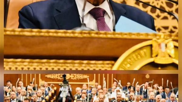 رئيس مجلس الشيوخ والمستشار فوزي