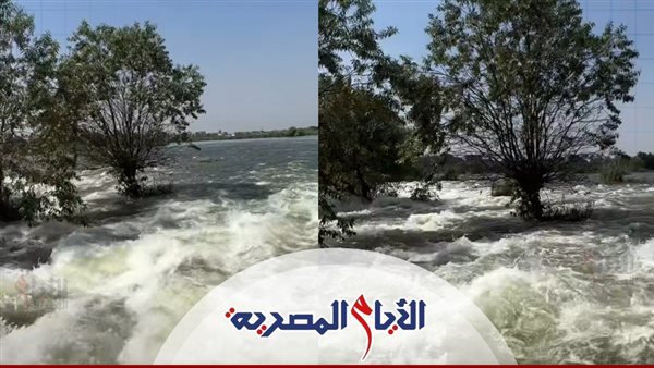 فيضان النيل 