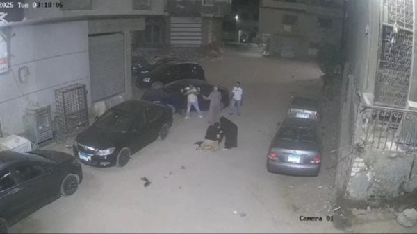 الواقعة 