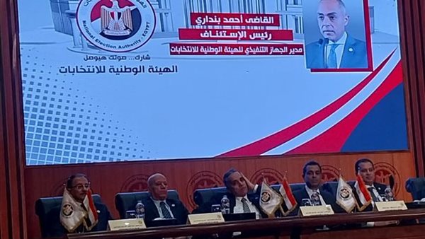 الهيئة الوطنية للإنتخابات 