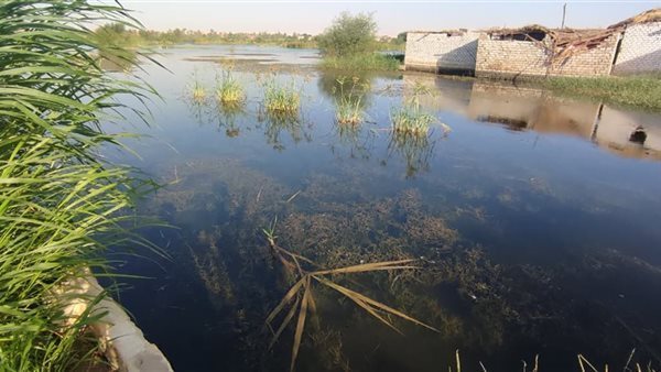 غمر مياه نهر النيل لأراضي زراعية بالمنوفية 