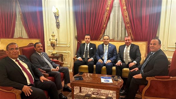 أمانة المصريين بالخارج بمستقبل وطن 