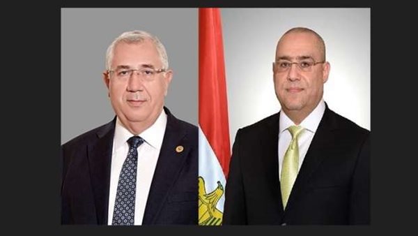 السيد القصير وعاصم الجزار 