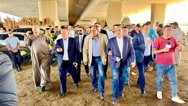 وفد من حزب مستقبل وطن 