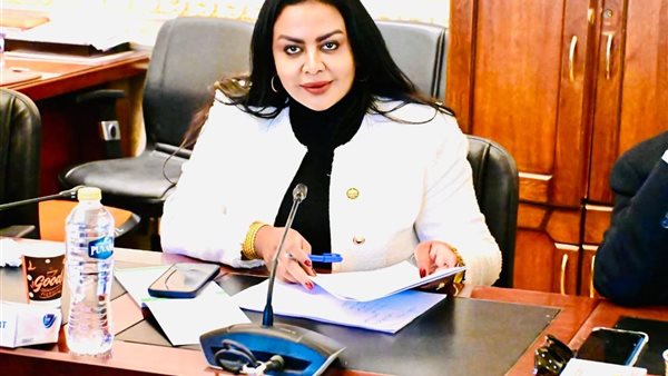 النائبة نيفين حمدي، عضو مجلس النواب