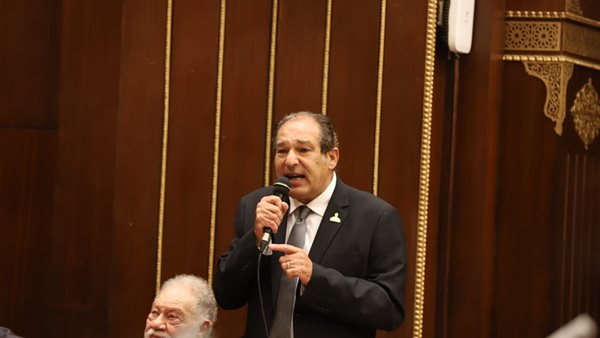 النائب حسام الخولي،  نائب رئيس حزب مستقبل وطن