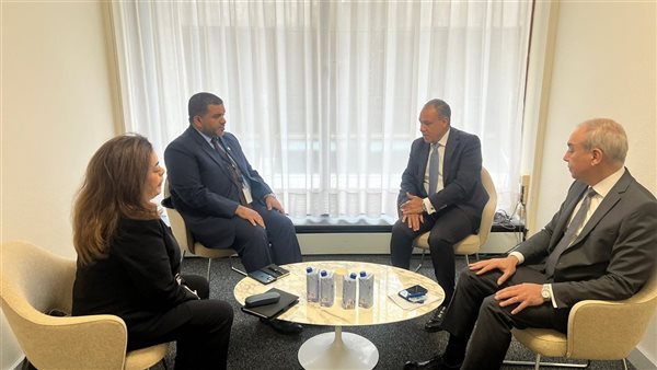 وزير الخارجية يلتقي المندوب الدائم لدولة الإمارات لدى اليونس
