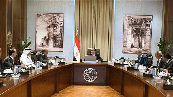 رئيس الوزراء يتابع مستجدات تنفيذ الاستراتيجية الوطنية للطاقة