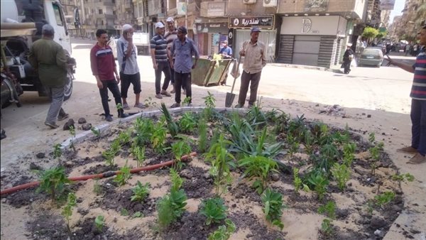 جانب من تنفيذ مبادرة التشجير بإحدى المحافظات