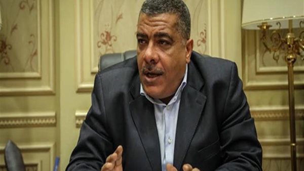 النائب معتز محمود، وكيل صناعة النواب 