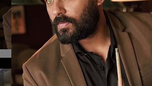 الفنان أحمد صلاح حسني