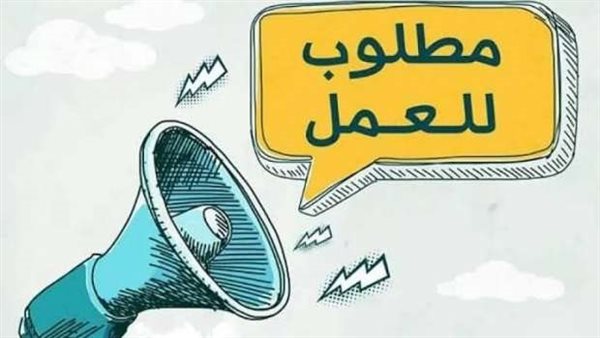وظائف خالية في محافظة الجيزة أكتوبر 2025