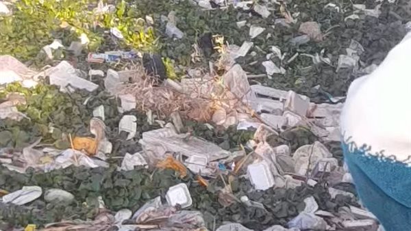 حادث سقوط تروسيكل يقل طلابًا بمصرف في أسيوط
