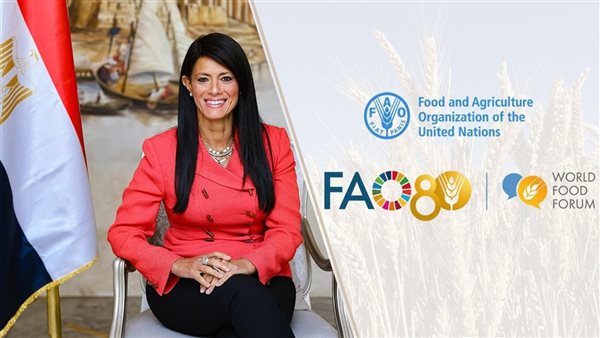 الدكتورة الدكتورة رانيا المشاط، وزيرة التخطيط 