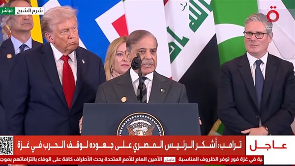 رئيس وزراء باكستان خلال قمة شرم الشيخ 