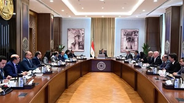 اجتماع رئيس الوزراء مع  محموعة أروجلو القابضة العالمية