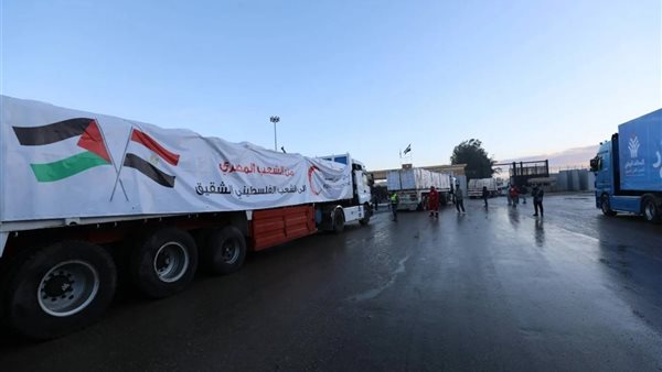 المساعدات الإنسانية المصرية 