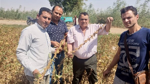 الزراعة التعاقدية للمزارعين في 3 محافظات