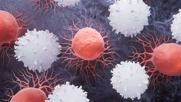 لقاحات كوفيد-19 هل تعالج السرطان؟
