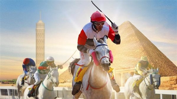 كأس رئيس دولة الإمارات للخيول