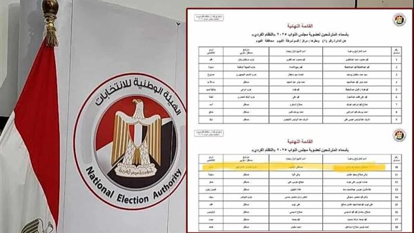  الهيئة الوطنية للانتخابات