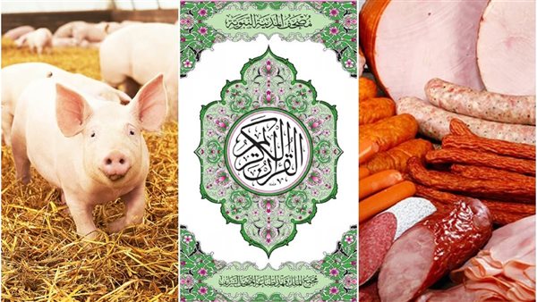 القرآن حرمه من 1400 عام، علماء يطالبون بمنع لحم الخنزير