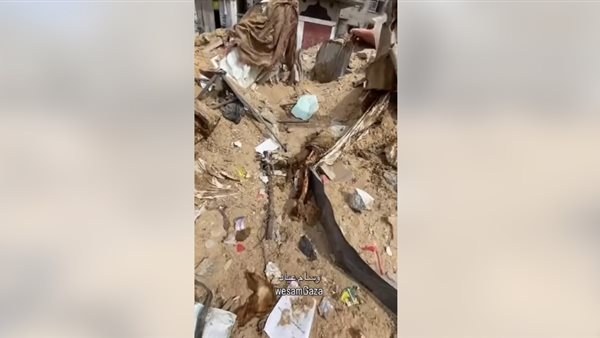 انتشار الجثث بشمال غزة