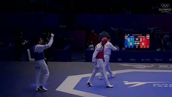 البطل المصري سيف عيسى
