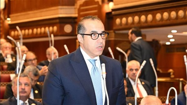 المستشار محمود فوزي وزير الشؤون النيابية