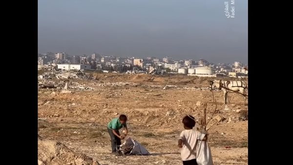 أطفال غزة.. معاناة لا تنتهي