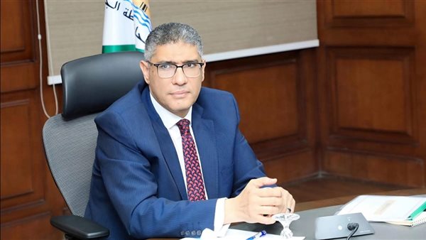 المهندس عادل النجار، محافظ الجيزة