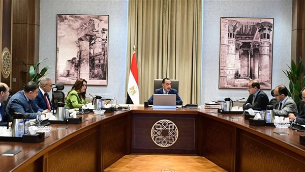 رئيس الوزراء ووزيري التنمية المحلية والمالية