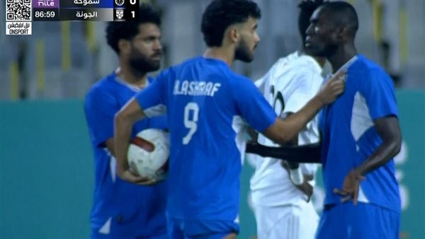 خناقة بين ثنائي سموحة في مباراة الجونة