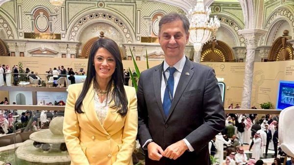 وزيرة التخطيط